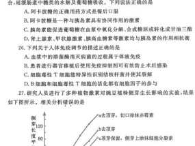 2024香港历史开奖结果与记录_详细解答解释落实_实用版907.315