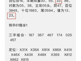 最准一肖一码一一中特毕_精选解释落实将深度解析_V83.71.20