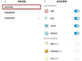 一码一肖100准吗美人鱼_精选解释落实将深度解析_手机版753.146