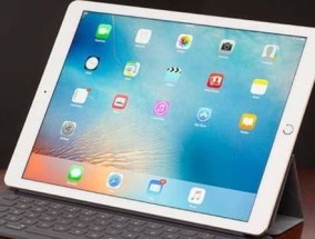 2024年正版资料免费大全亮点_作答解释落实_iPad82.95.25