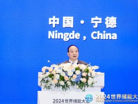 
          
            宁德时代董事长曾毓群：储能行业不能乱，但也绝不能慢
        