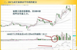 香港内部马料免费资料(香港图库彩图大全下载)--良心企业，值得支持--主页版v089.533