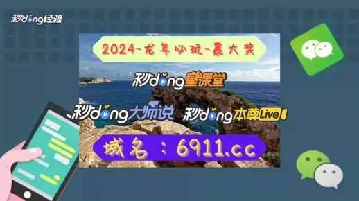 澳门王中王100%的资料2024_精选解释落实将深度解析_实用版313.935