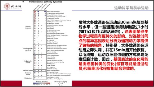 新澳最准的免费资料_精选作答解释落实_3DM20.42.26