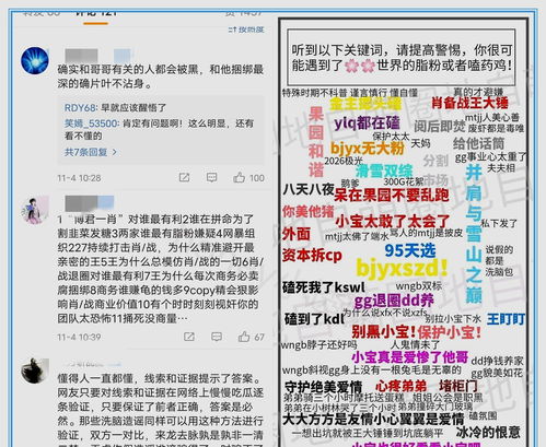 要中特马就出死打正确一肖_最新答案解释落实_安卓版051.216