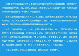 2024澳家婆一肖一特_精选解释落实将深度解析_实用版028.389