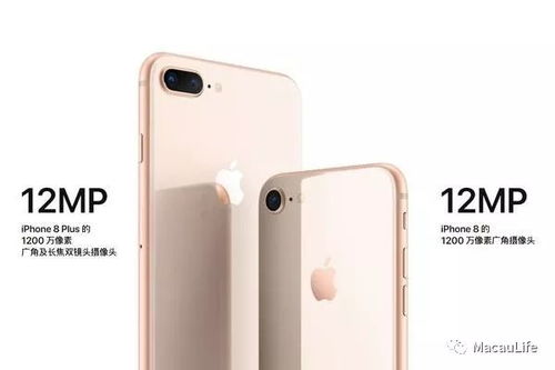 2024新澳门六和合三肖必中_最佳选择_iPhone版v82.63.47