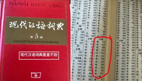 王中王一肖一特一中开奖时间_精选解释落实将深度解析_安装版v557.196