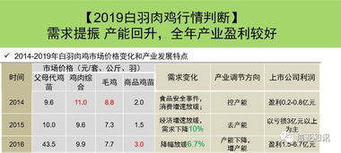 香港恃码今晚开什么号_作答解释落实的民间信仰_主页版v352.703