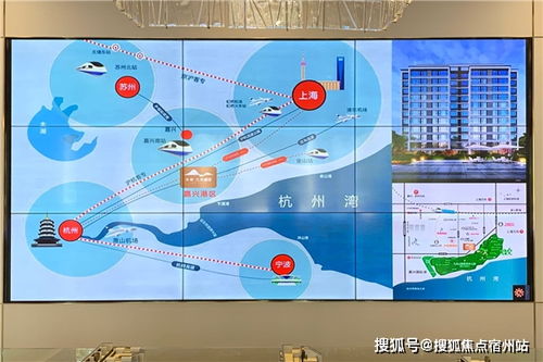 2024跑狗图最新版 解析_最新答案解释落实_主页版v154.169