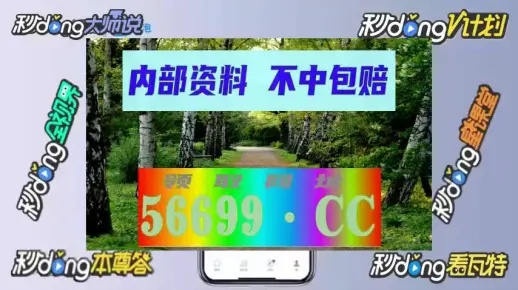 澳门王中王100%的资料2024年_精彩对决解析_iPad36.64.24