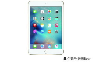 新奥2024全年资料_最佳选择_iPad98.75.82