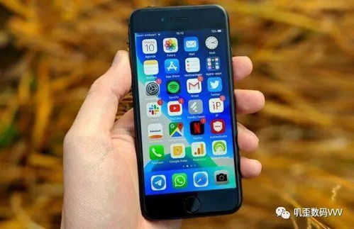 管家婆三期开一期精准是什么_作答解释落实_iPhone版v64.41.70