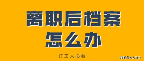 2024新浪正版免费资料_良心企业，值得支持_实用版880.246