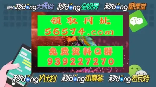 管家婆一肖一码必中一码_详细解答解释落实_网页版v580.508