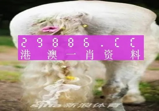 澳门精准一肖一码精准确2023_引发热议与讨论_安卓版169.804