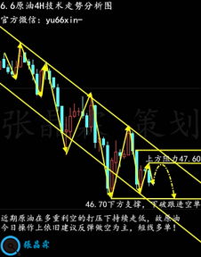 2024年今天晚上出什么马_作答解释落实_GM版v52.63.59