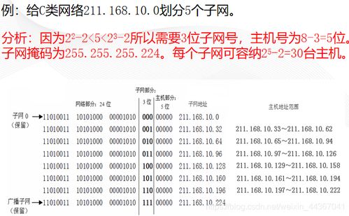 最准一肖一吗100_详细解答解释落实_实用版063.291