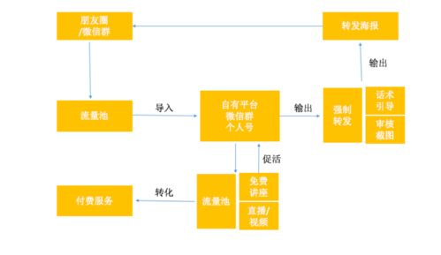 精准新澳门内部一码_结论释义解释落实_网页版v335.192