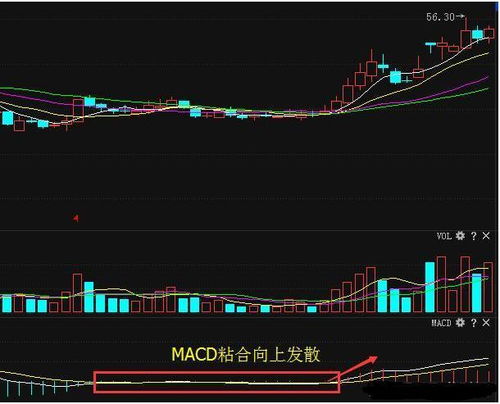 一码一肖100走势图_良心企业，值得支持_主页版v168.482