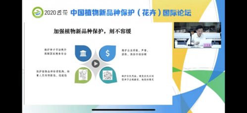 新澳最新最快资料新澳50期_引发热议与讨论_网页版v963.317