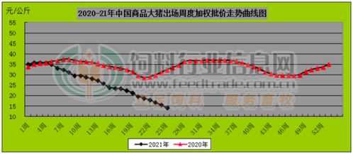 一码一肖100走势图_一句引发热议_主页版v252.720