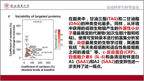 澳门正版玄机资料_精选作答解释落实_GM版v61.88.97