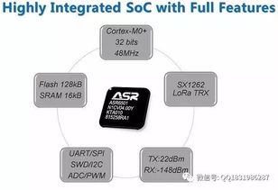 2024精准管家婆一肖一马_精选解释落实将深度解析_iPad85.10.99