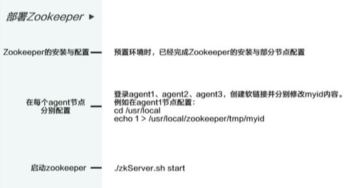 澳门4949开奖结果最快一_结论释义解释落实_V12.41.51