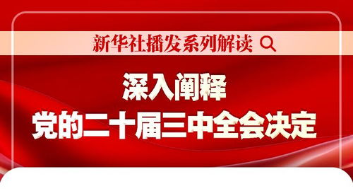 2024新奥正版资料免费提供346969_精选解释落实将深度解析_GM版v94.81.22