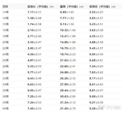 香港王中王资料大全免费_值得支持_iPad62.47.82