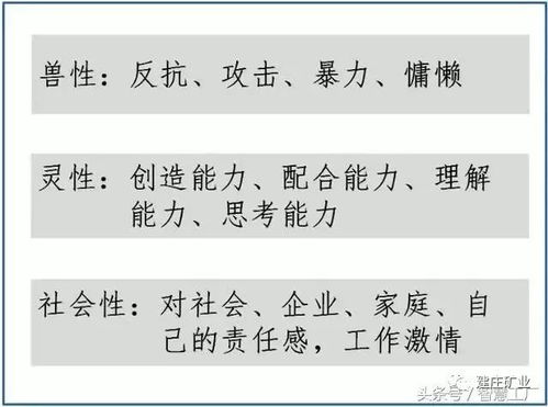 澳门一码准特_结论释义解释落实_iPad26.53.17