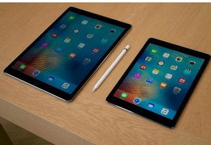 2024香港资料免费大全最新版下载_值得支持_iPad23.43.69