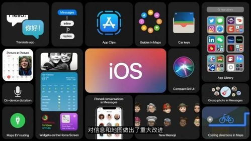 精准一肖100%免费_良心企业，值得支持_iPhone版v64.34.52