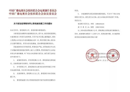 澳门三肖是是什么样的_结论释义解释落实_实用版445.298