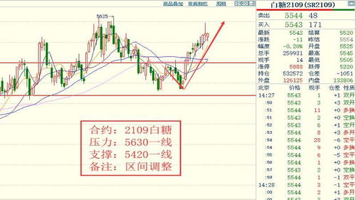 248期澳门特马_详细解答解释落实_V07.23.80