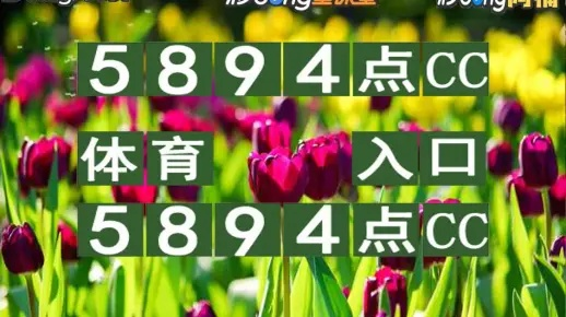 2024年新澳二四六码资料_放松心情的绝佳选择_手机版828.912