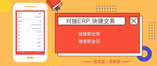 2024年新奥门管家婆资料_精选解释落实将深度解析_安卓版546.153