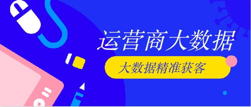 2024管家婆精准资料大全免费_良心企业，值得支持_实用版109.994