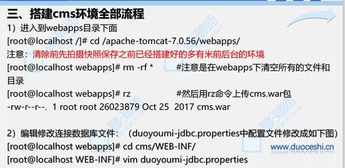 新澳平特肖准的一肖加减方法_精选作答解释落实_V20.93.02