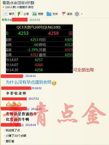 2024新奥资料免费精准资料_详细解答解释落实_主页版v221.140