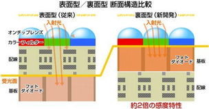 管家婆期期准精选资料软件_最新答案解释落实_手机版279.691