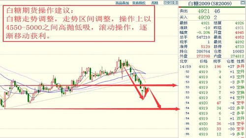 2024今晚特马开什么_详细解答解释落实_实用版320.493