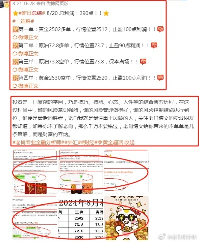 澳门三期内必中一期3码_精选解释落实将深度解析_手机版532.828