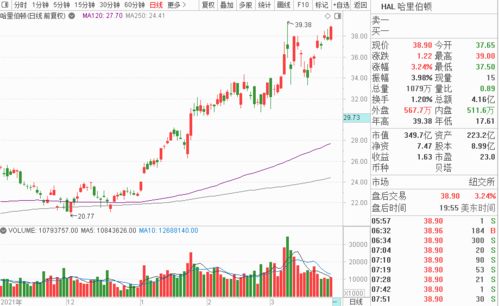 香港近15期历史开奖105期_详细解答解释落实_V89.81.61