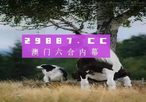 今期澳门正版跑狗图_最佳选择_安装版v256.866