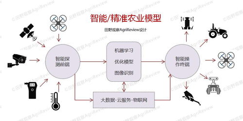 新澳精准资料免费提供403_精选解释落实将深度解析_iPad21.88.56