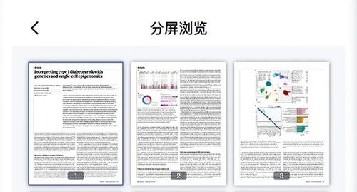 新奥门资料免费大全_值得支持_实用版593.144