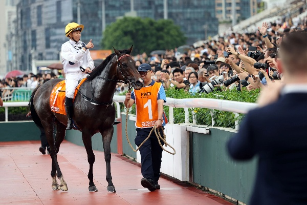 2024年香港免费看马资料_最新答案解释落实_安卓版789.370