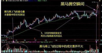 今期特马十盯开是什么意思_详细解答解释落实_3DM75.01.40